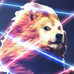 Meet your Posher, Robbie